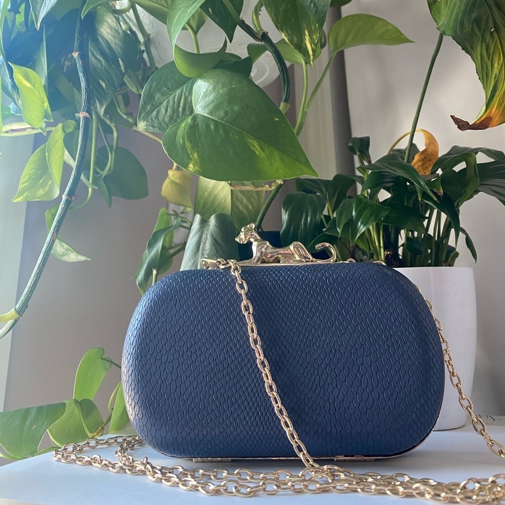 Vintage Parfois Clutch or Crossbody Bag